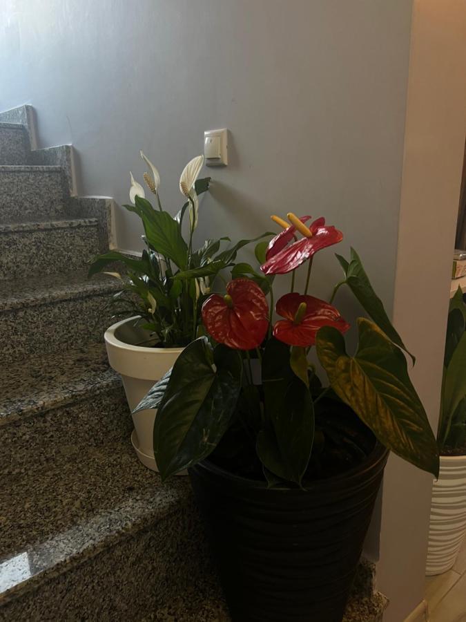 Villa Residence Kvariati Eksteriør bilde